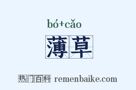 薄草是什么意思的图片